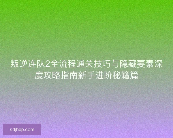 叛逆连队2全流程通关技巧与隐藏要素深度攻略指南新手进阶秘籍篇